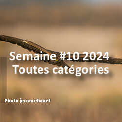 fotoduelo Semaine #10 2024 - Toutes catégories