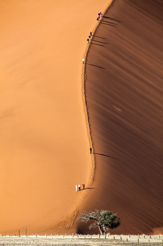 Dune 47
