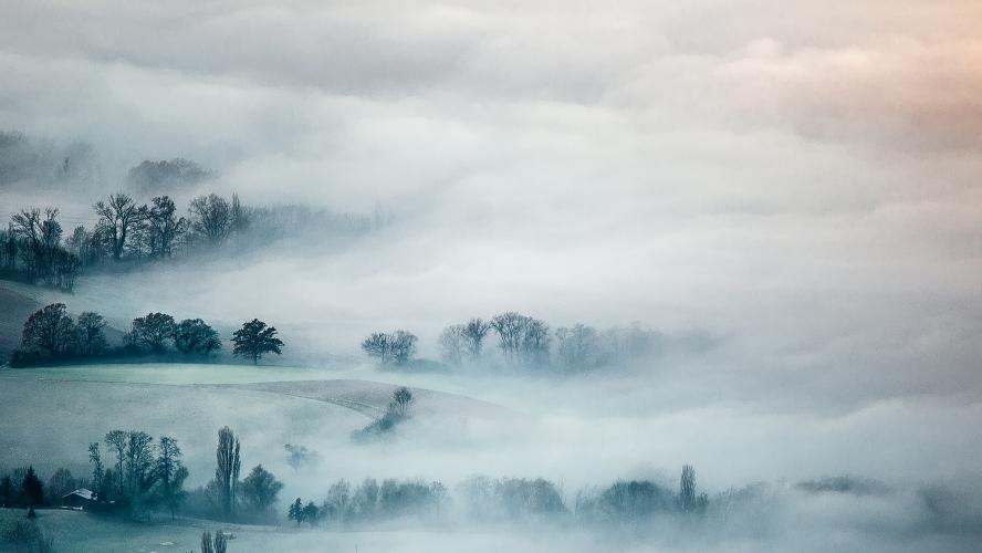 Mist