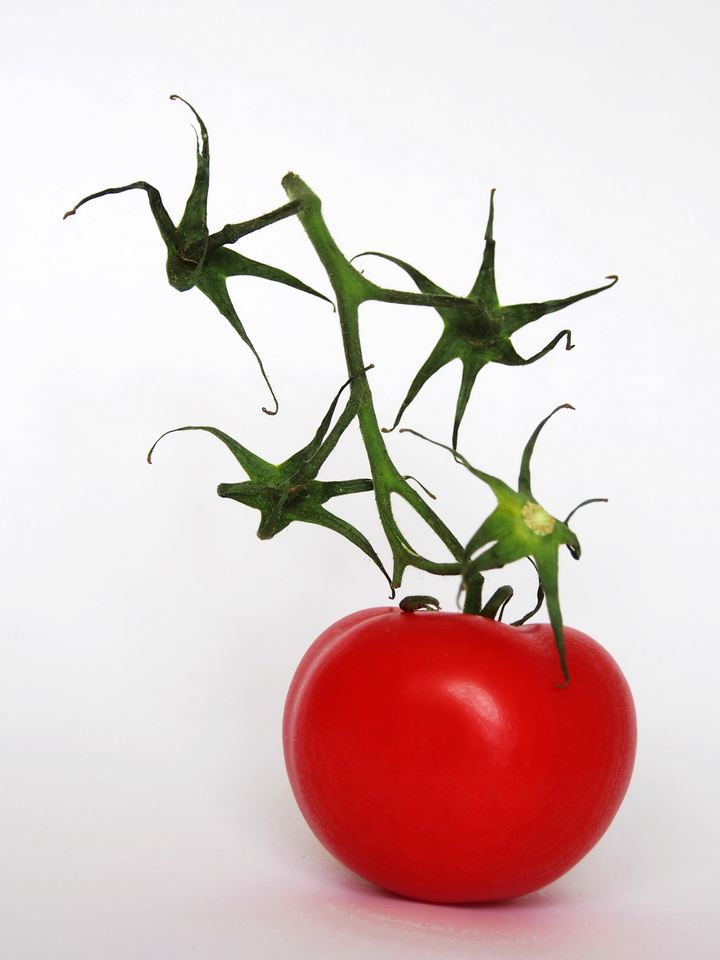 tomate 4 étoiles
