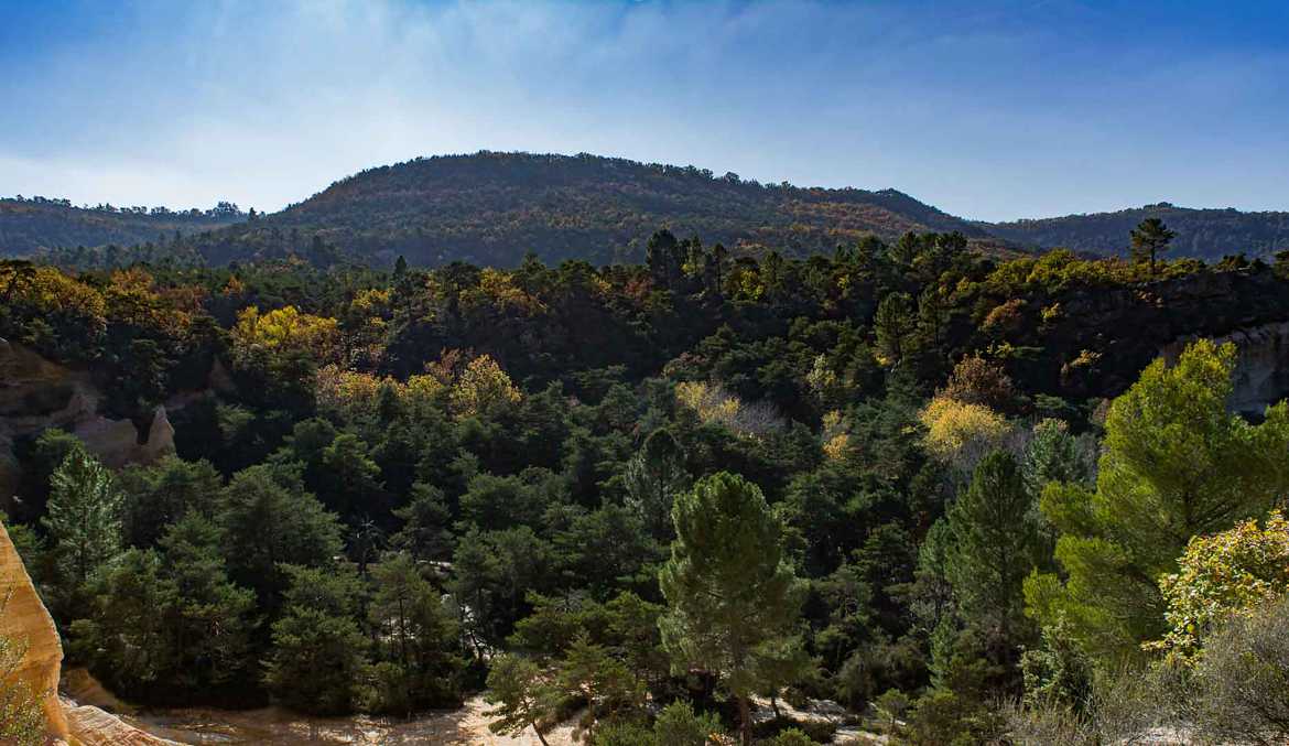 Colorado Provençal