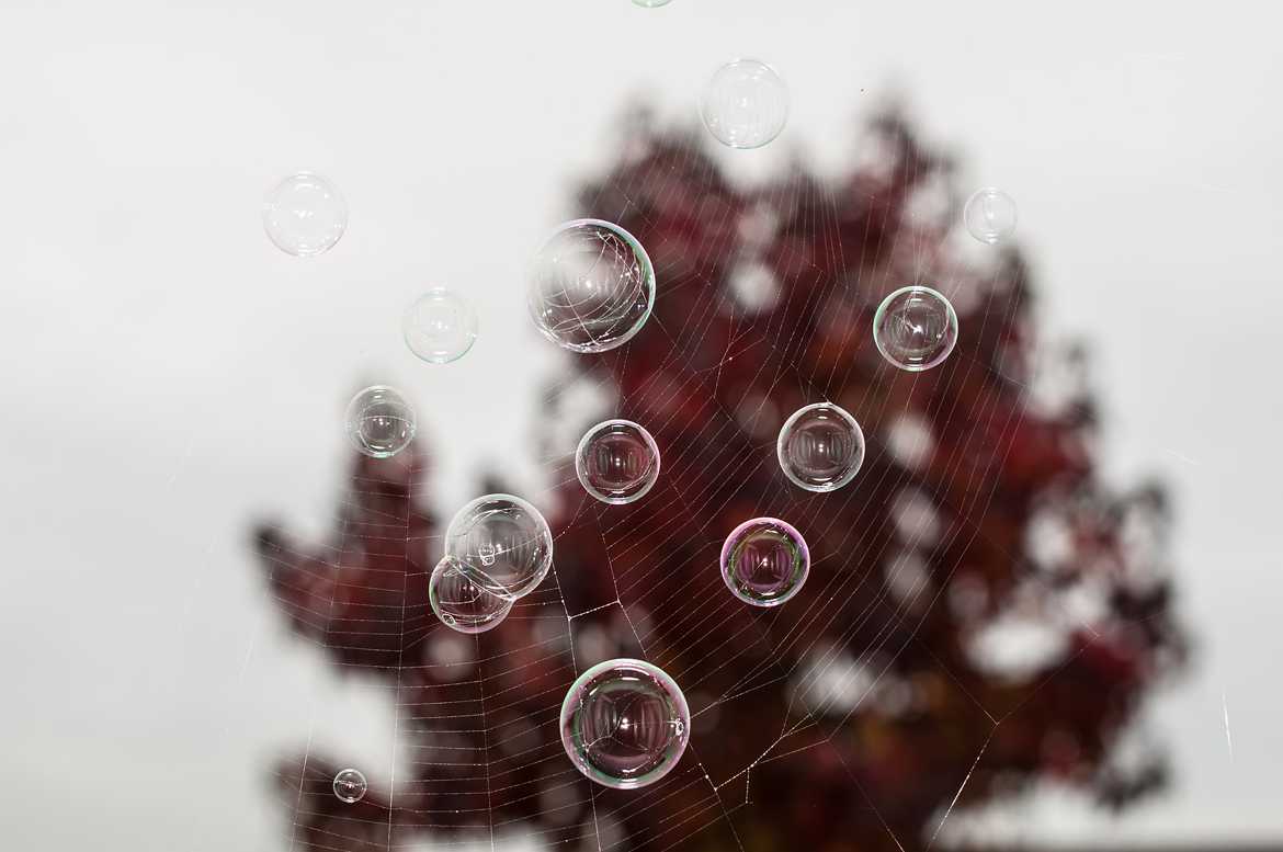 bulles sur toile