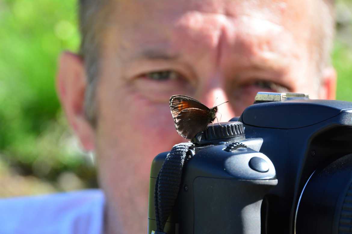 Papillon photographe...
