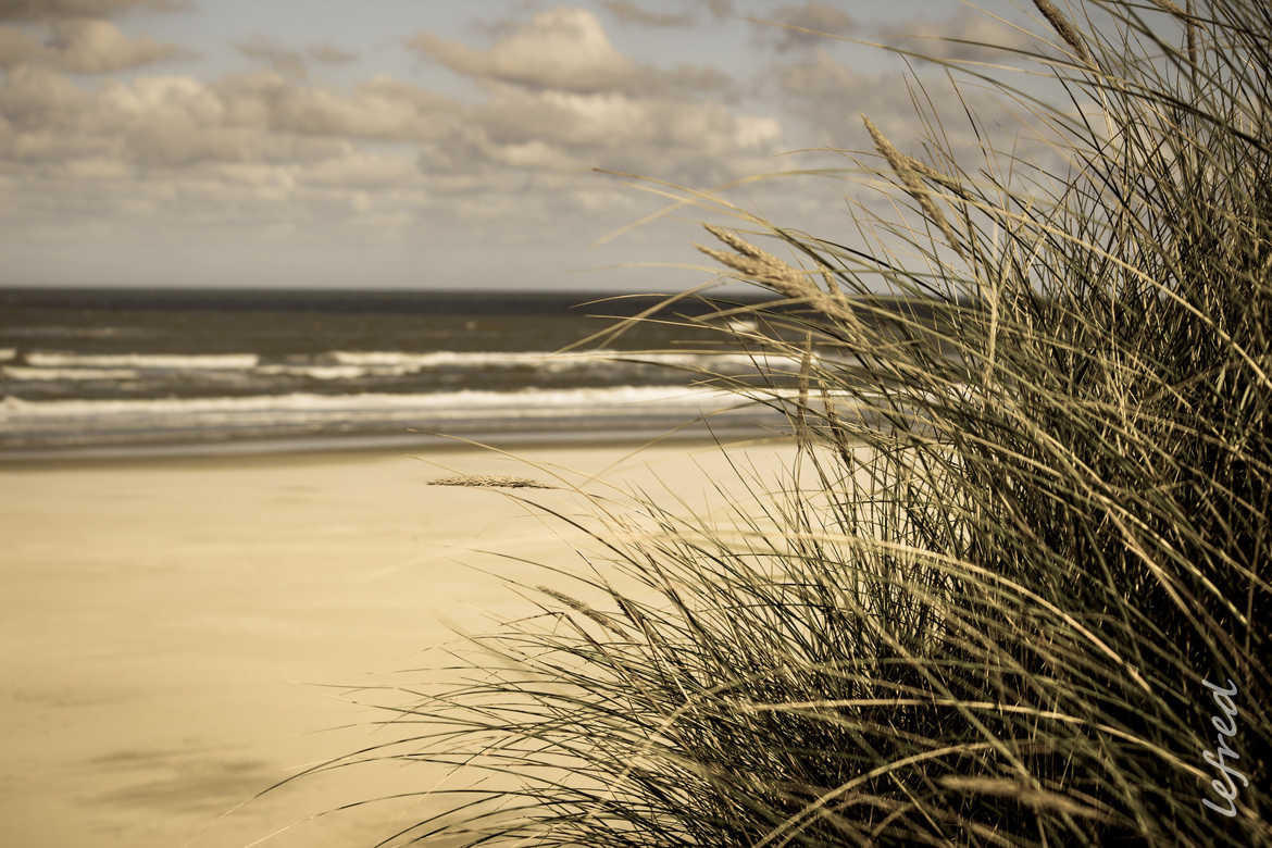 Ameland plage - Pays-Bas