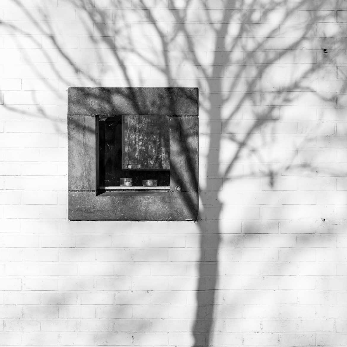 Une fenêtre sur l'ombre