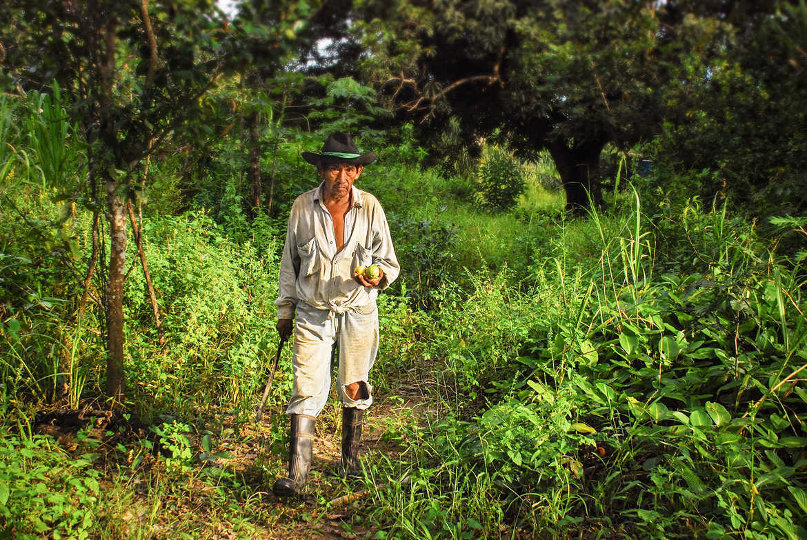 agriculteur amazonien