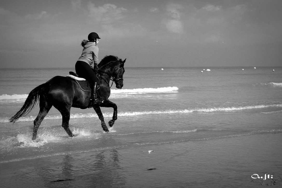 Ballade à cheval au bord de mer