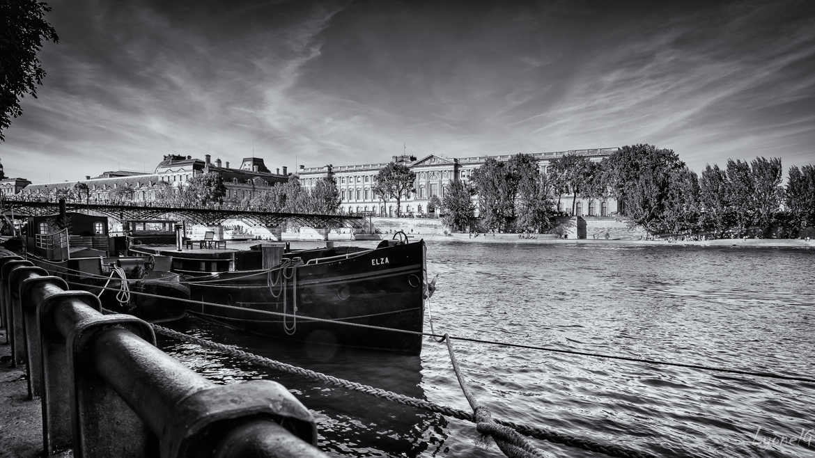 Accouplés en bord de Seine