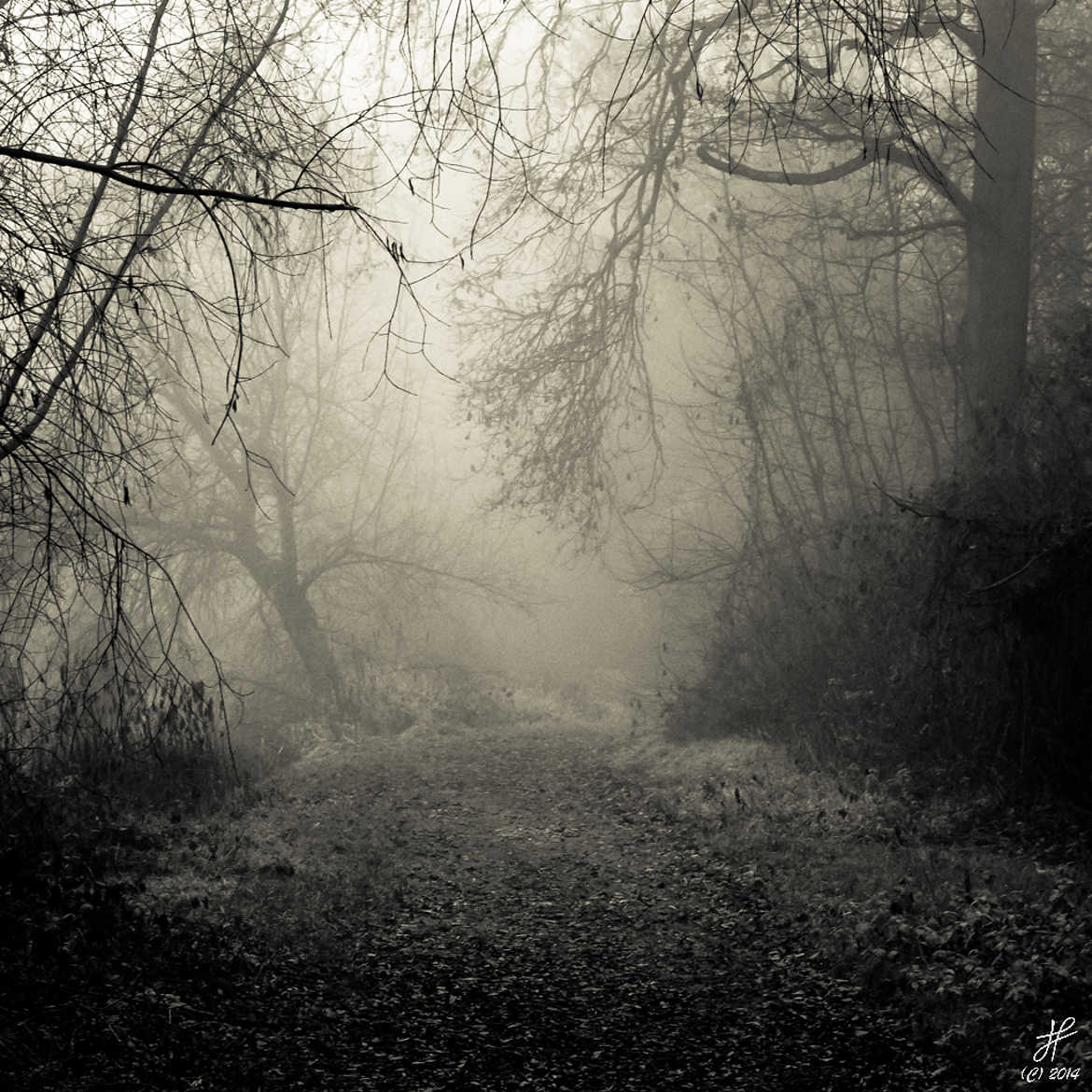 Concours Photo - Automne 2014 - Dans le brouillard par Jacky67