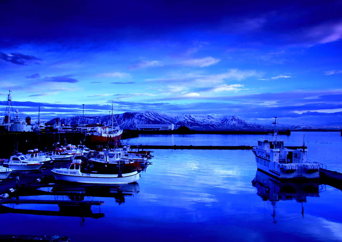 port de reykjavik