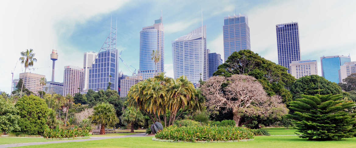 Royal garden park, Sydney