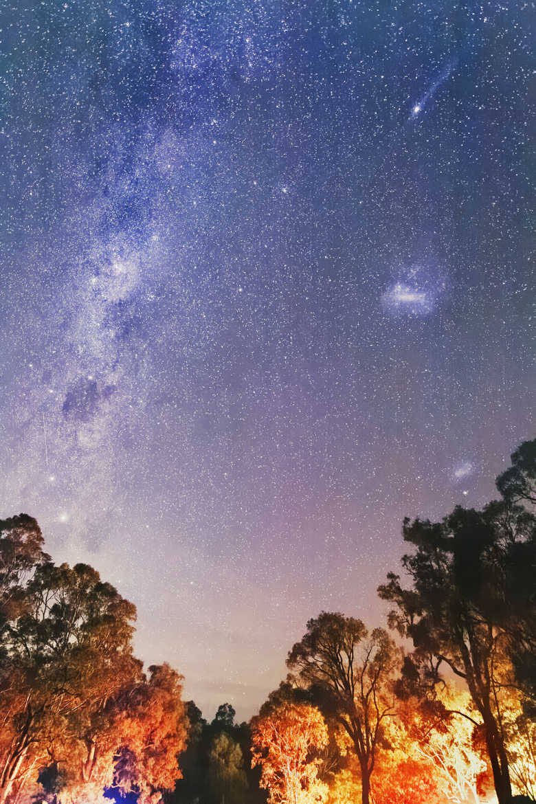 Ambience nocturne australe