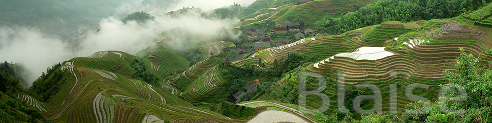 Chine - Dragon Backbone Rice Terraces