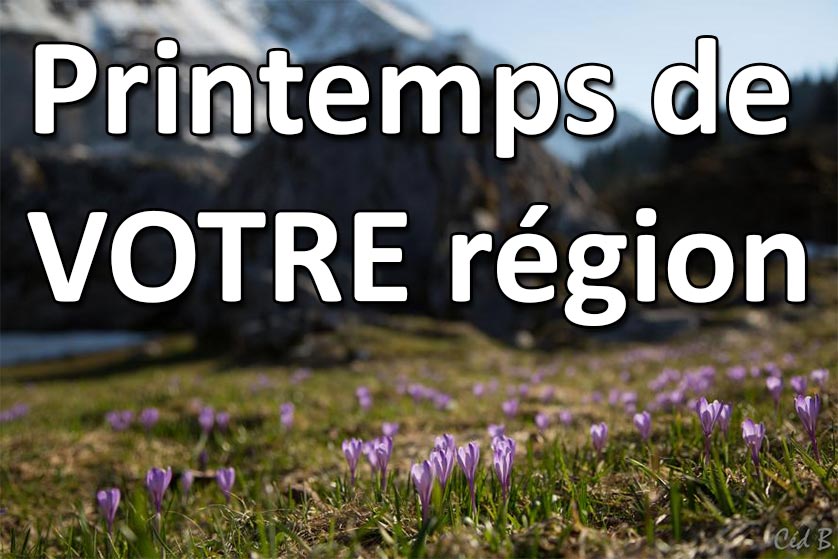 concours-photo-printemps-de-votre-region