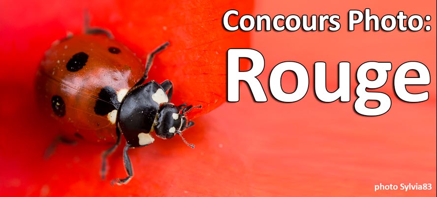 Concours Photo Rouge