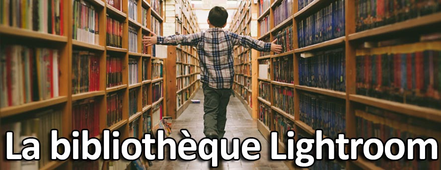 Le catalogue et la bibliothèque lightroom