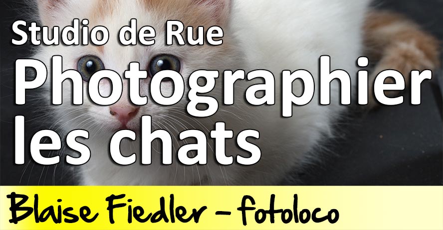 Photographier ses chats en Studio de Rue - Cours Photo Gratuit