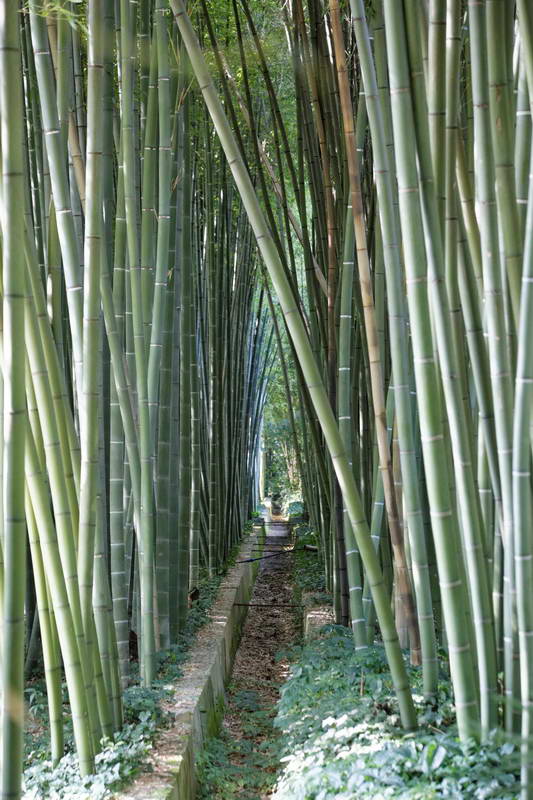 Compression de perspective en photo de paysages