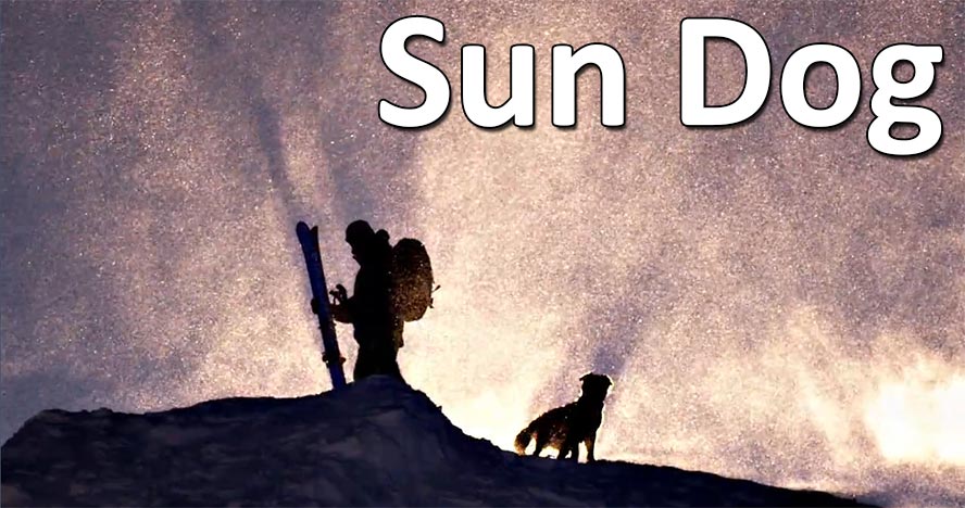 Sun Dog ou l'art de raconter une histoire