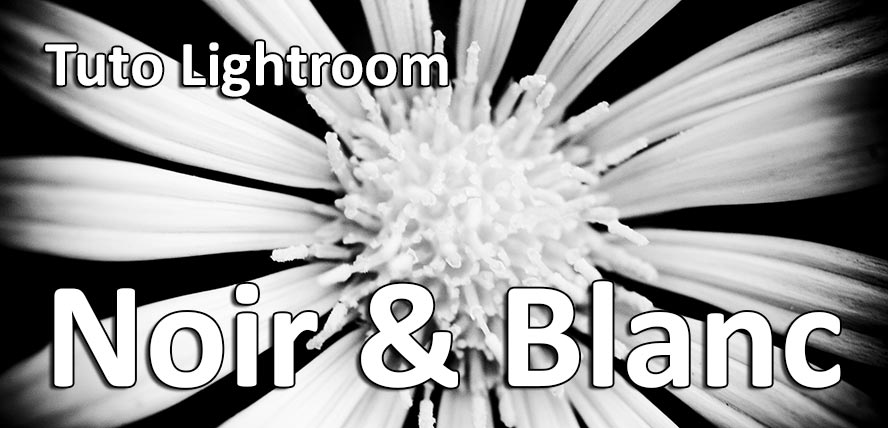 Tuto Lightroom convertir sa photo en noir et blanc