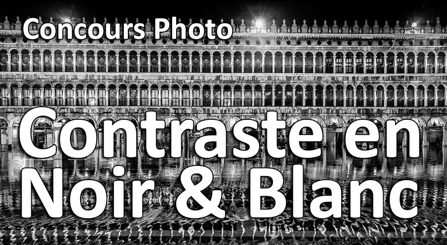 resultats concours photo contraste noir et blanc