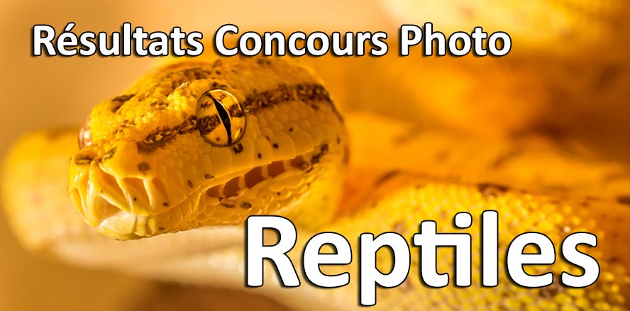 resultats concours photo reptiles