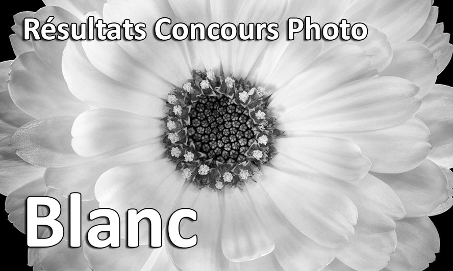 resultats concours photo blanc