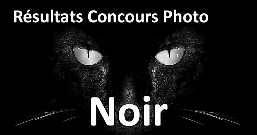 resultats concours photo noir