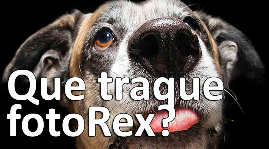 que traque fotoRex