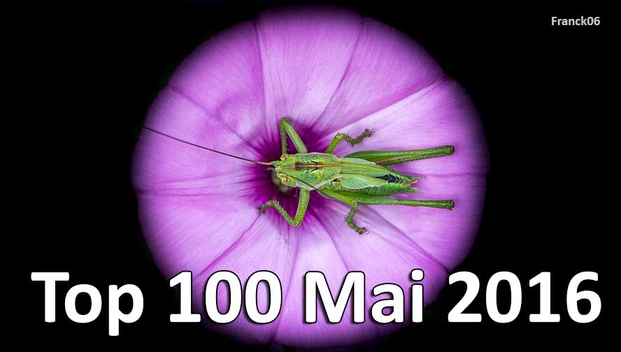 Top 100 Mai 2016