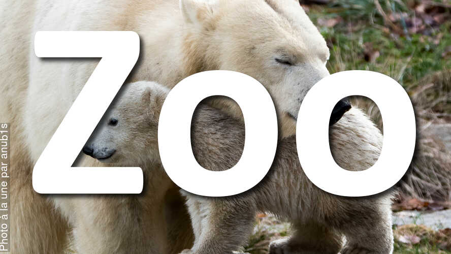 Zoo-ces-nouvelles-photos-vont-vous-etonner
