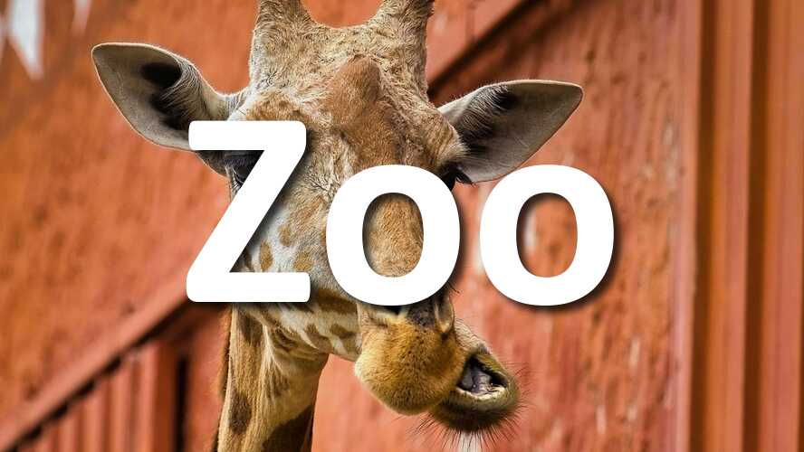 Comment-allez-vous-photographier-le-concours-Zoo