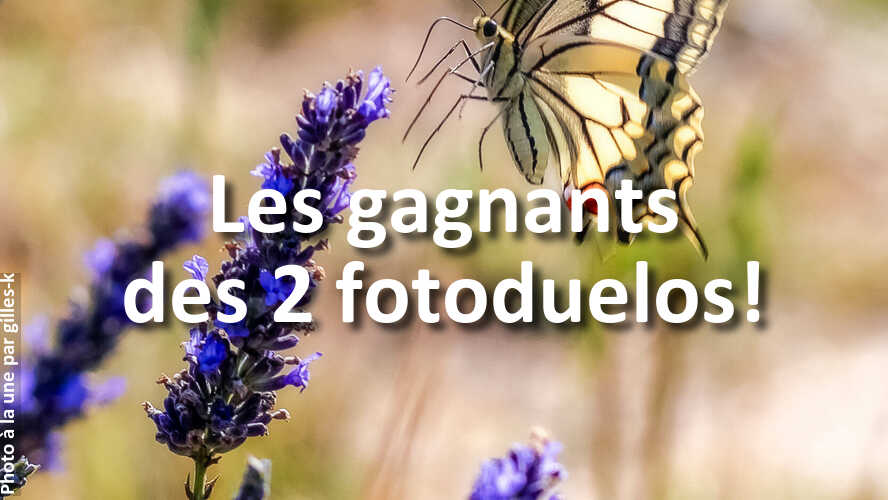 Si-vous-avez-participe-a-fotoduelo-ne-manquez-pas-ces-gagnants