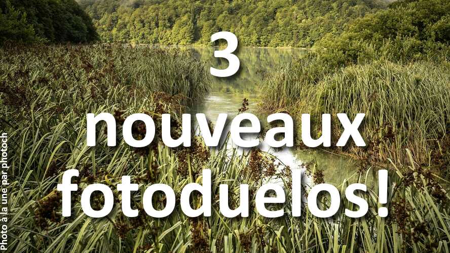 3-nouveaux-fotoduelos-ont-besoin-de-votre-avis