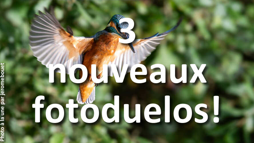 3-nouveaux-fotoduelos-ont-besoin-de-votre-avis