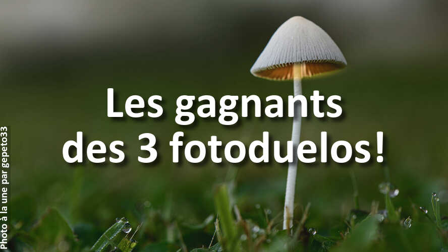 Mais-qui-sont-ces-gagnants-des-3-recents-fotoduelos