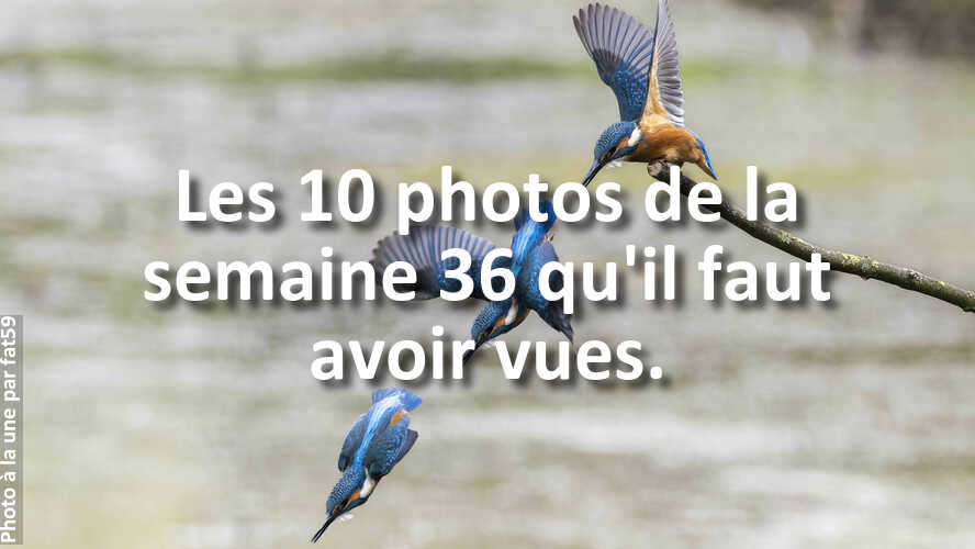 Avez-vous-rate-les-10-plus-belles-photos-de-la-semaine-36