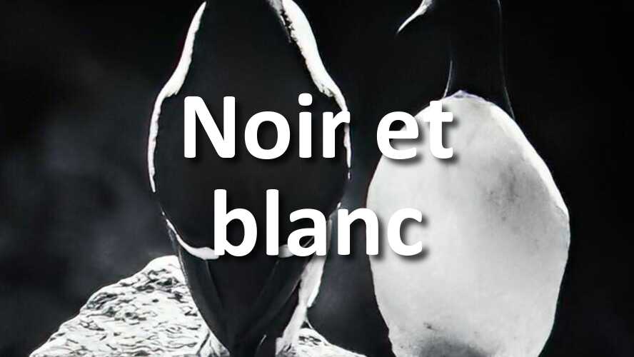 Saurez-vous-relever-le-defi-photo-Noir-et-blanc