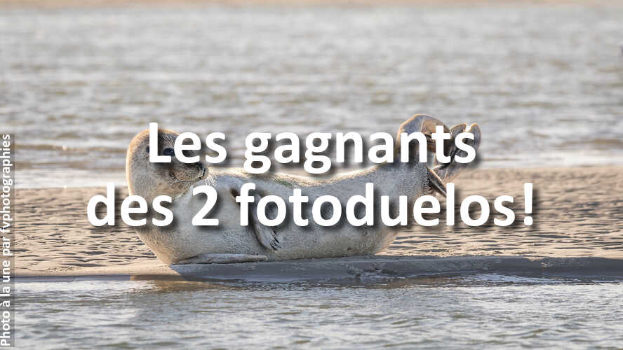 Les-gagnants-des-2-fotoduelos-cette-semaine