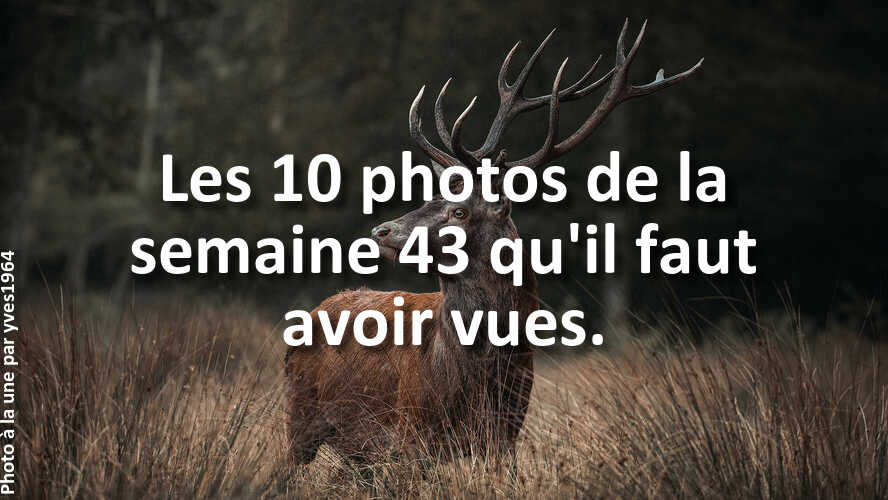 Les-10-photos-de-la-semaine-43-qui-vont-vous-faire-retrouver-linspiration