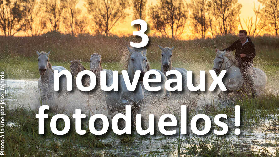 Avez-vous-1-minute-pour-admirer-les-nouvelles-photos-fotoduelo