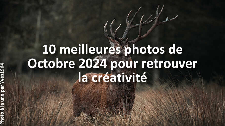 Trouvez-linspiration-dans-les-10-plus-belles-photos-de-la-galerie-du-mois-de-Octobre-2024