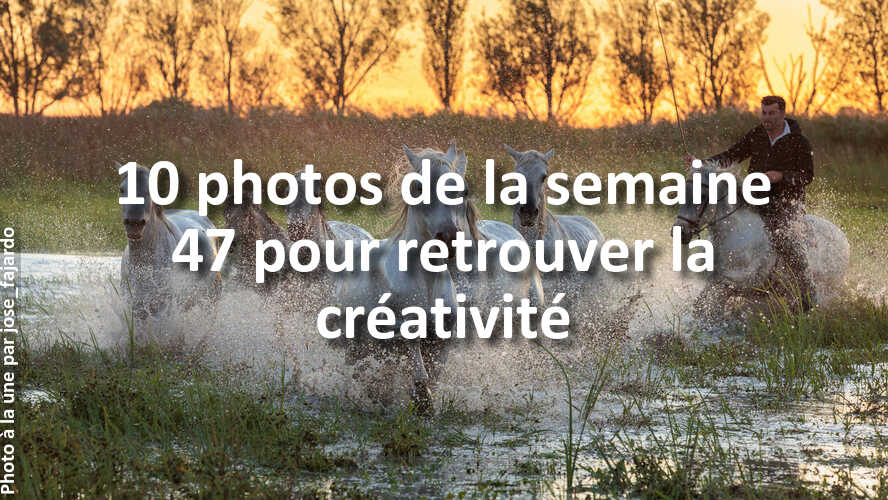 Les-10-photos-de-la-semaine-47-qui-vont-vous-faire-retrouver-linspiration