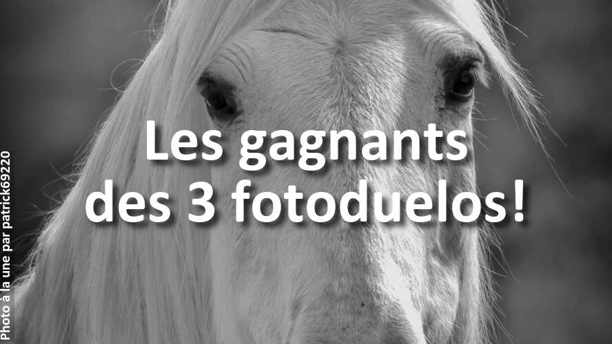 Que-pensez-vous-des-gagnants-des-3-derniers-fotoduelos