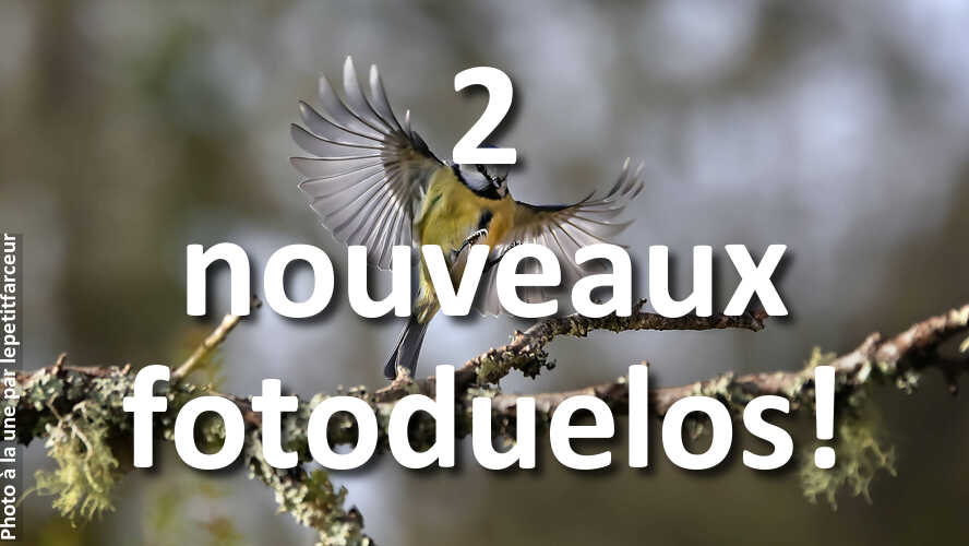 fotoduelo-a-besoin-de-votre-clic-pour-departager-les-plus-belles-photos