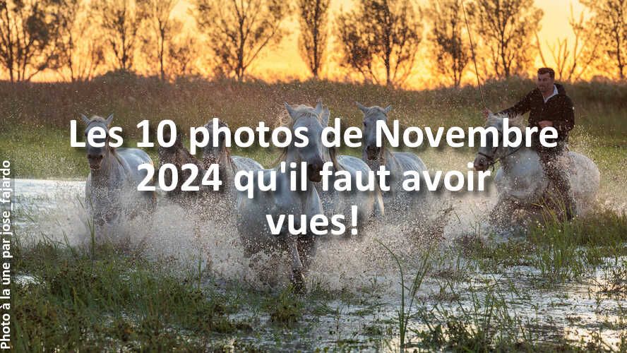 Avez-vous-rate-les-10-plus-belles-photos-du-mois-de-Novembre-2024