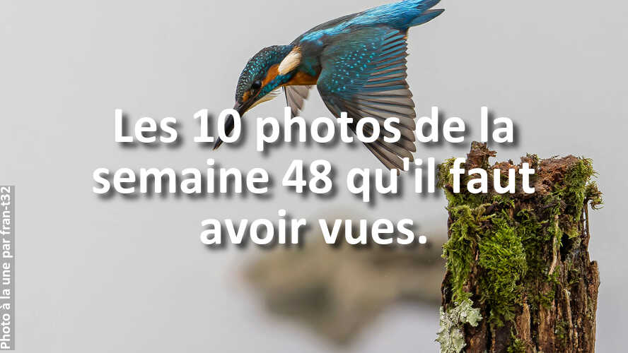 Les-10-photos-de-la-semaine-48-qui-vont-vous-faire-retrouver-linspiration