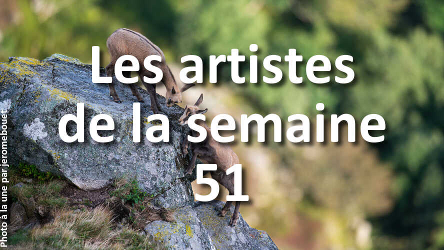 Les-10-photos-de-la-semaine-51-qui-vont-vous-faire-retrouver-linspiration