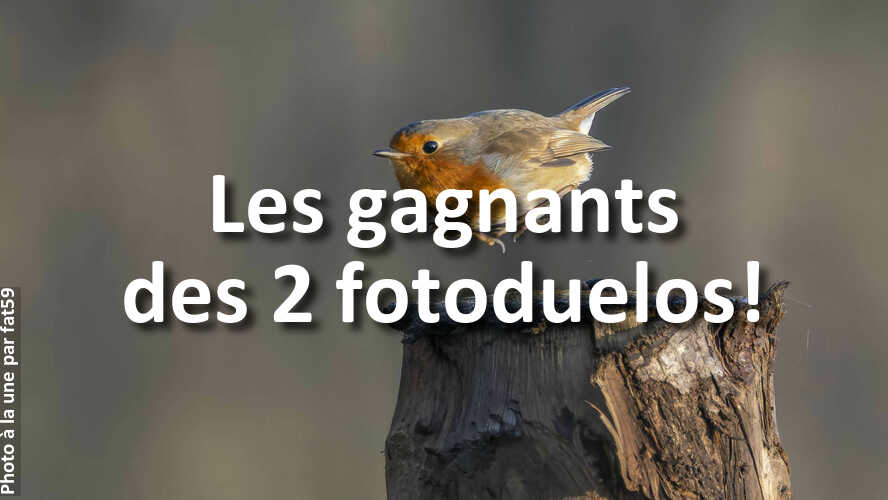 Mais-qui-sont-ces-gagnants-des-2-recents-fotoduelos