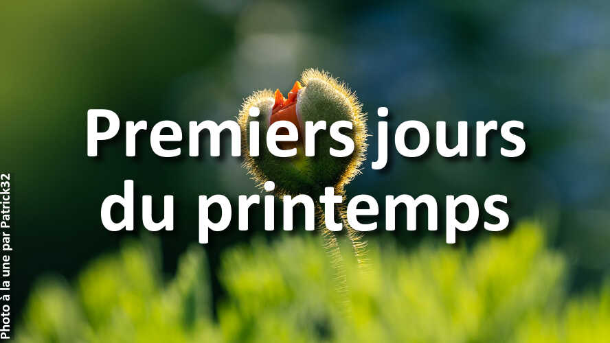 Auriez-vous-pu-prendre-daussi-belles-photos-sur-le-theme-Premiers-jours-du-printemps